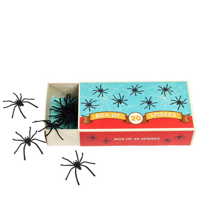 Box of 20 Spiders