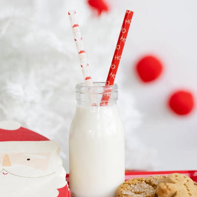 Santa Reusable Straws Set of 12